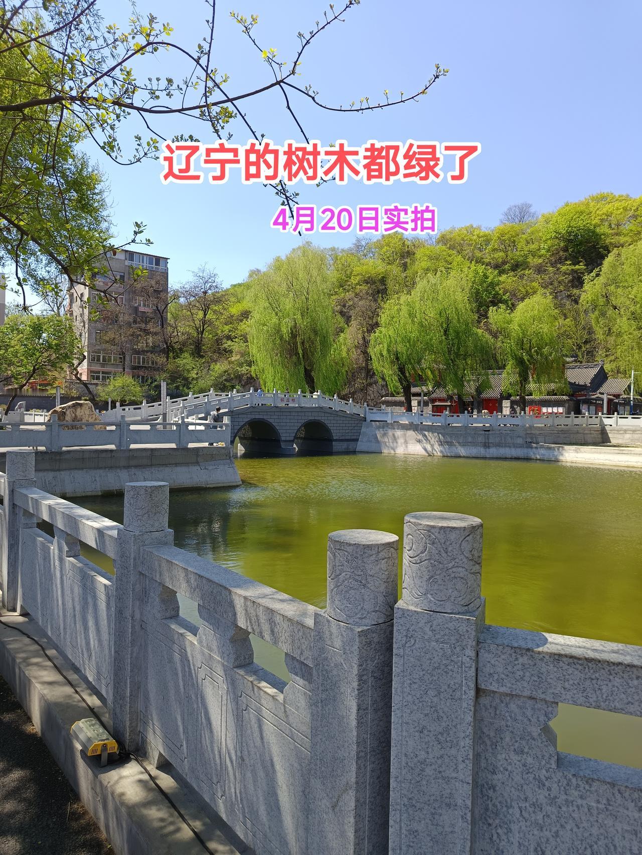 我感觉辽宁的天气情况跟河北省的天气很相似，跟黑龙江比起来像是两个不同的季节。记得