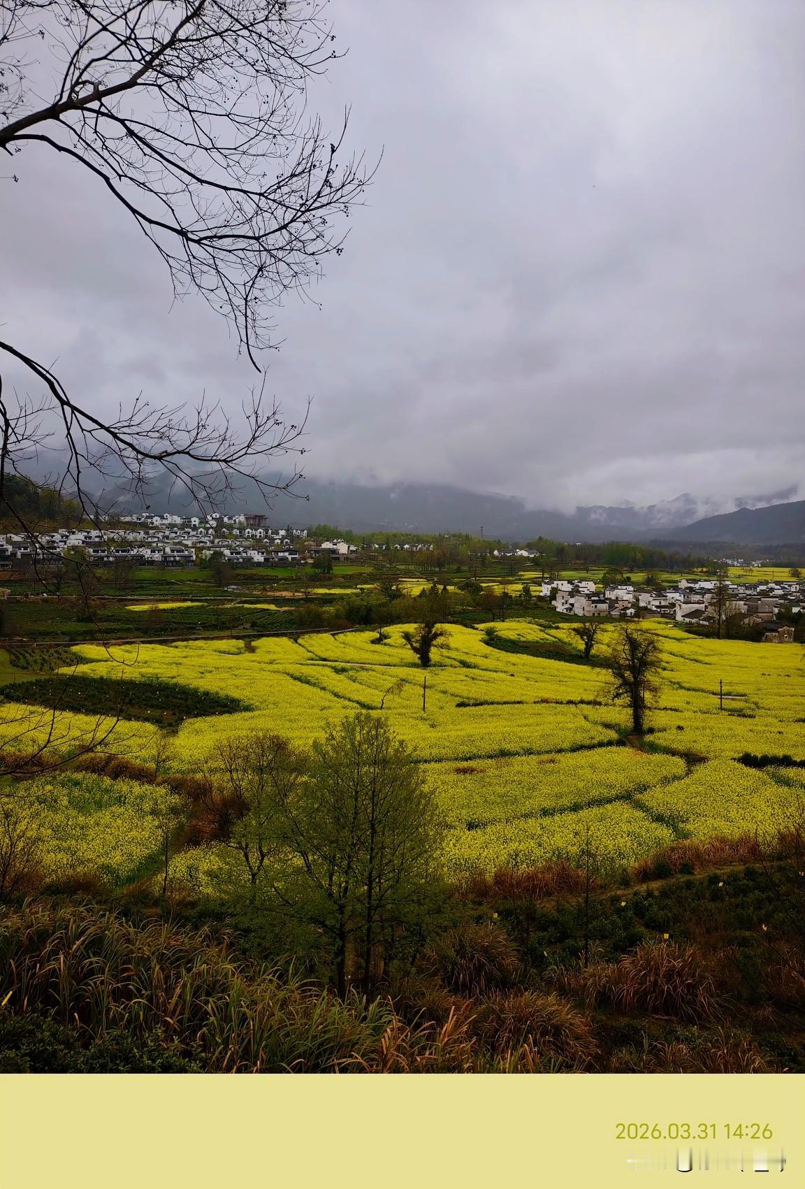心若从容，万物皆安。
 
前几天趁着小长假，
去了安微的一个小村庄，
站在卢村观