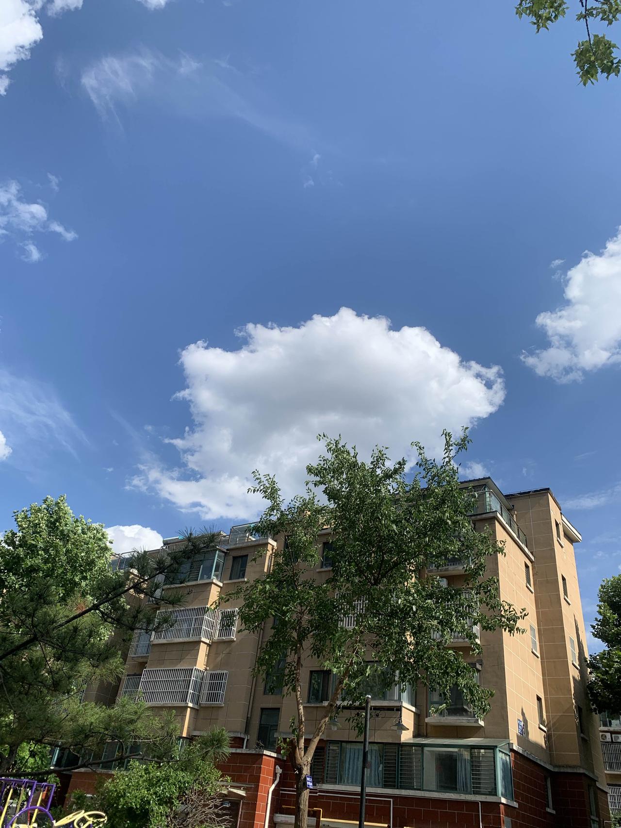 举头望天空
下午四点，天空湛蓝，一朵朵蘑菇云跟棉花糖一样，在空中悠然漂浮，太阳时