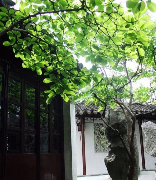 心里话         许多时候，我们不是跌倒在自己的缺陷上，而是跌倒在自己的优