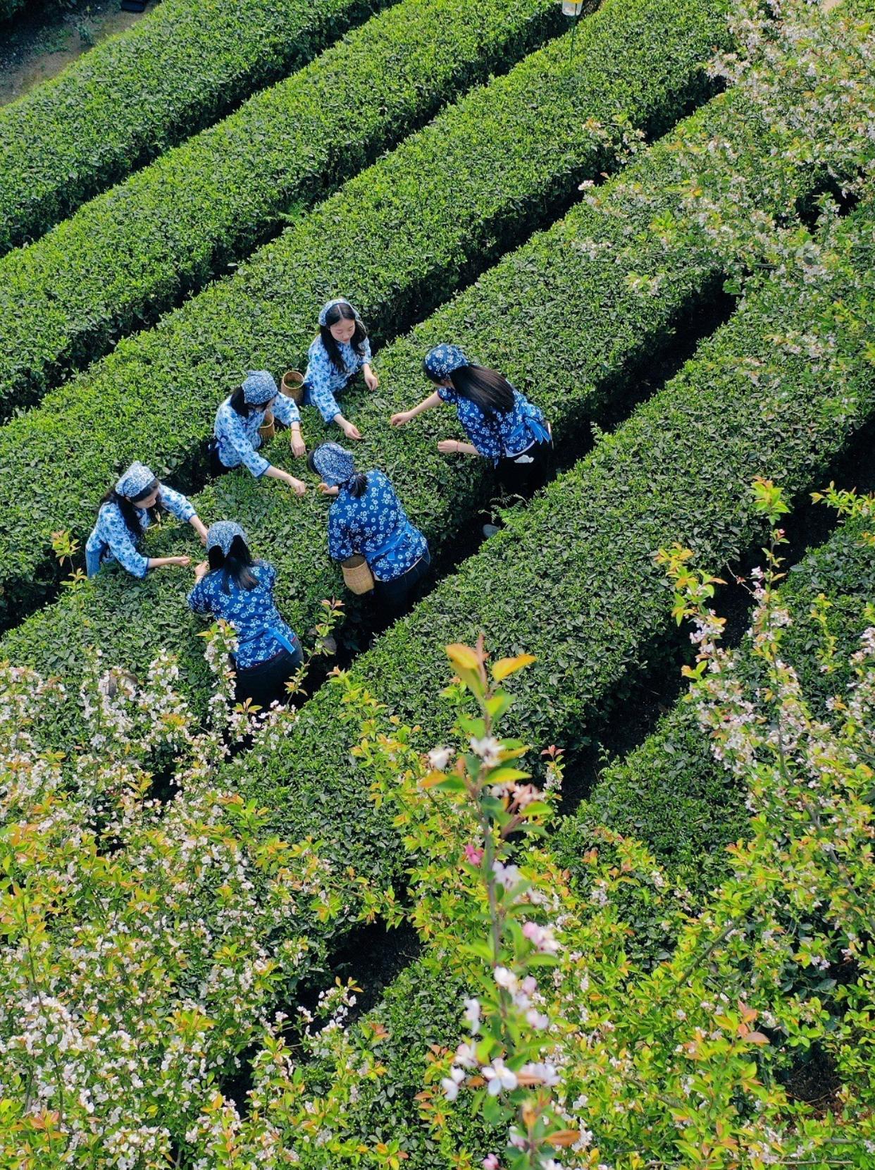 【心是热的，生活就永远是春天】
        心是热的，生活就永远是春天，这话