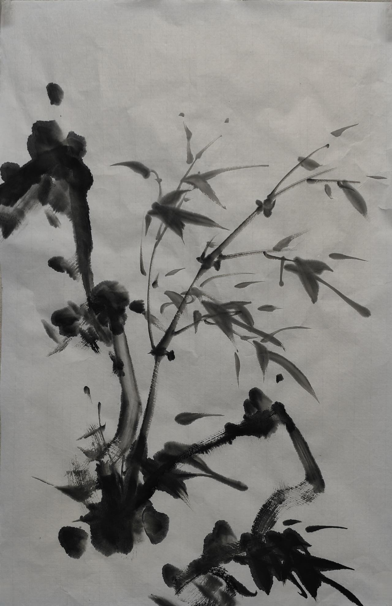 当代中国画家谁的墨竹画的好?沈子琪墨竹您认可吗？