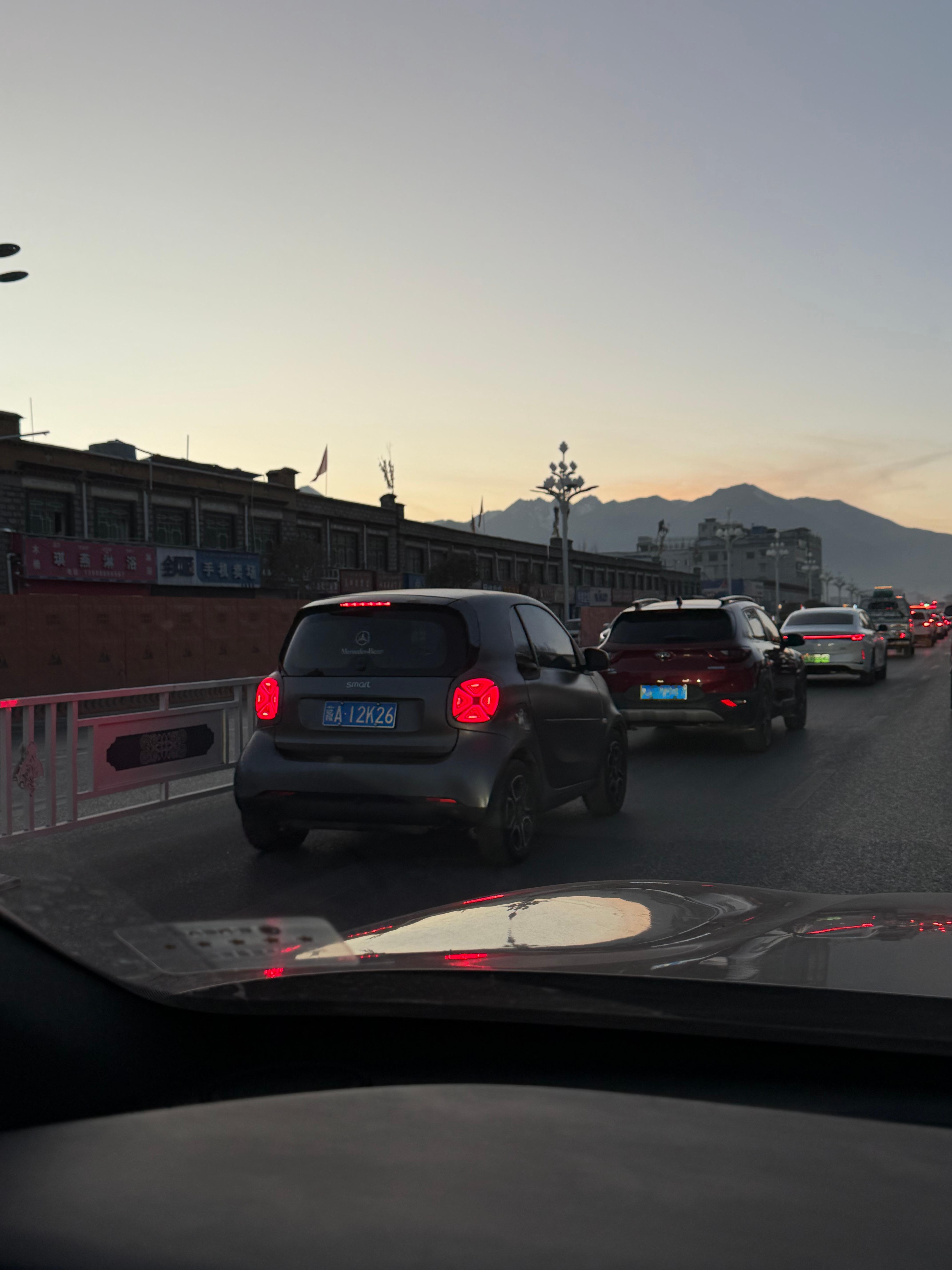 拉萨其实挺多德系车的，大众、奥迪、宝马、保时捷存在感非常高，当然，smart居然