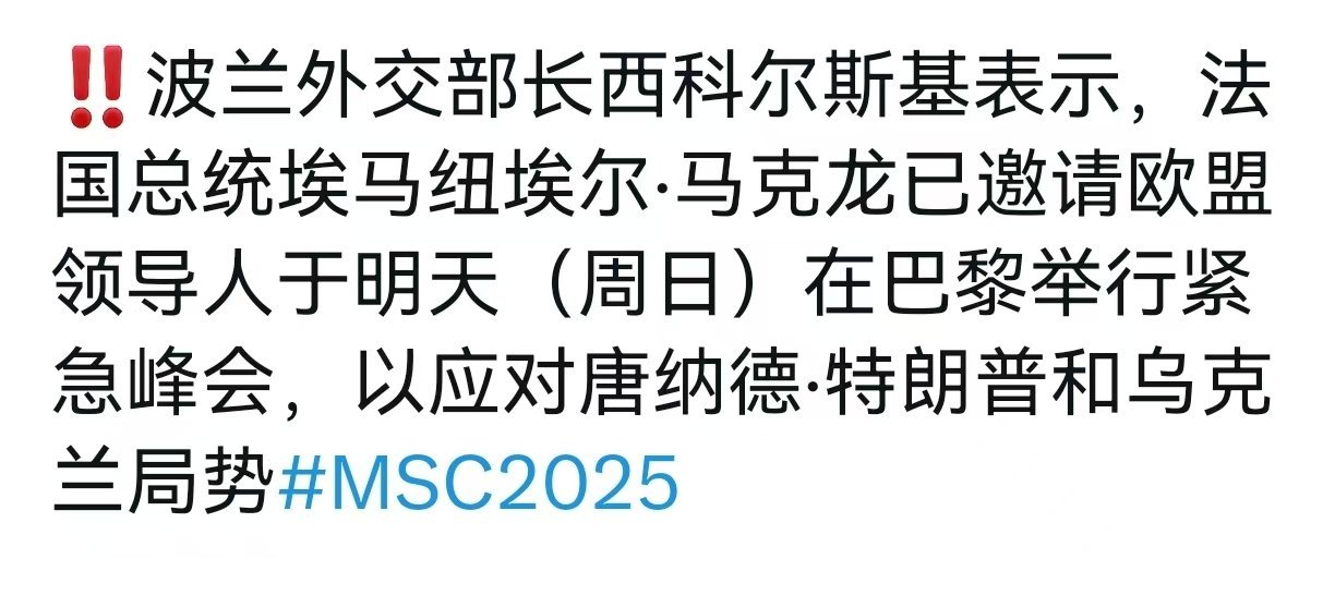 快讯 巴黎紧急峰会已将美国排除在外: 波兰外交部长西科尔斯基表示，法国总统埃马纽