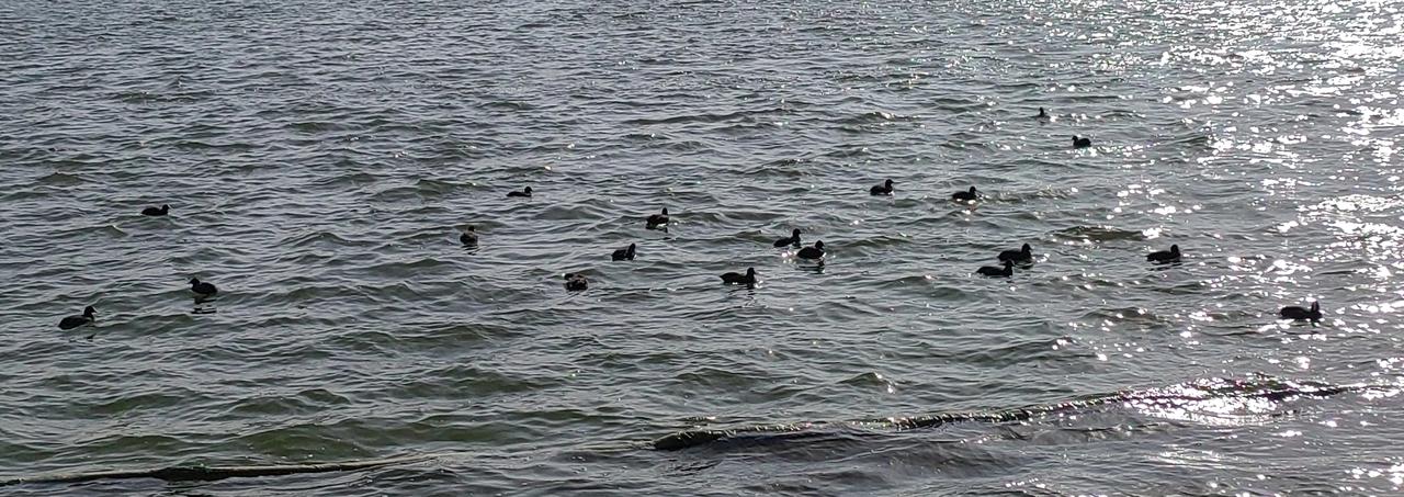 过年走亲戚常有这种情况：一方不喜欢接待，另一方去得勉强，但双方都不敢挑明，害怕对