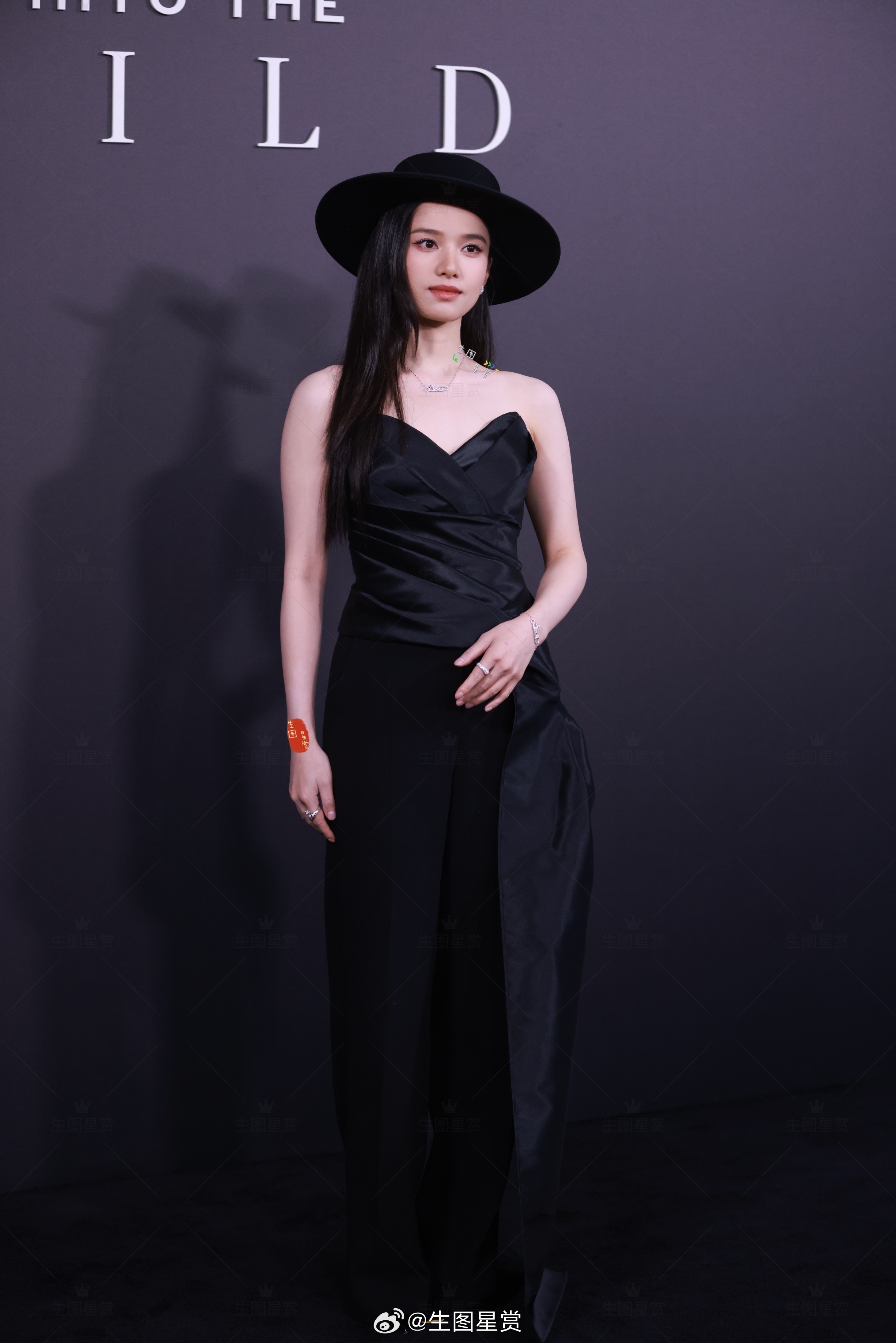 公主仪，美来的🖤张婧仪卡地亚机位二生图直出 ​​​