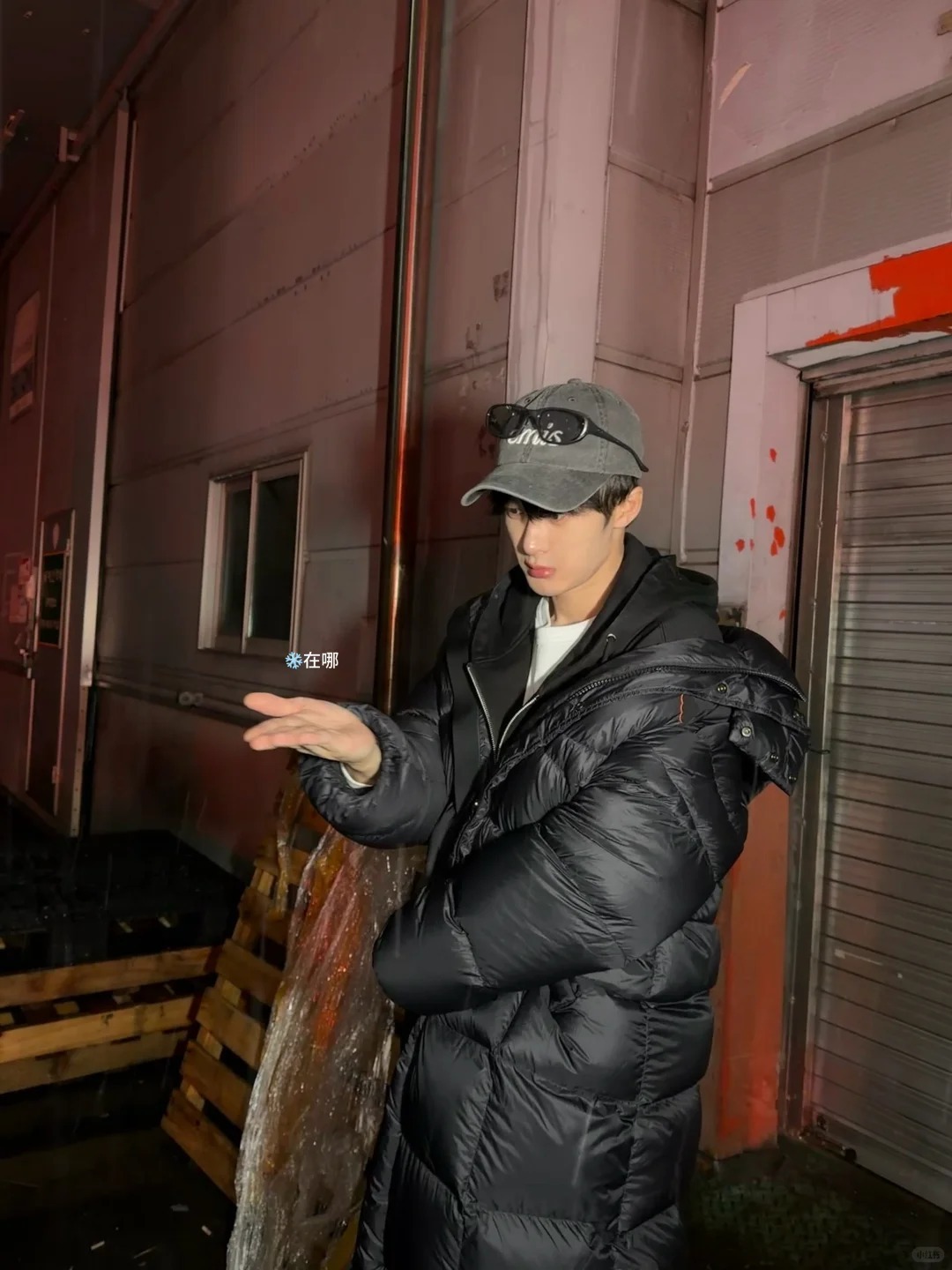 这个酷萌小猫檀健次去趟小韩却没看到初雪，灵魂发问：雪在哪来，来了 