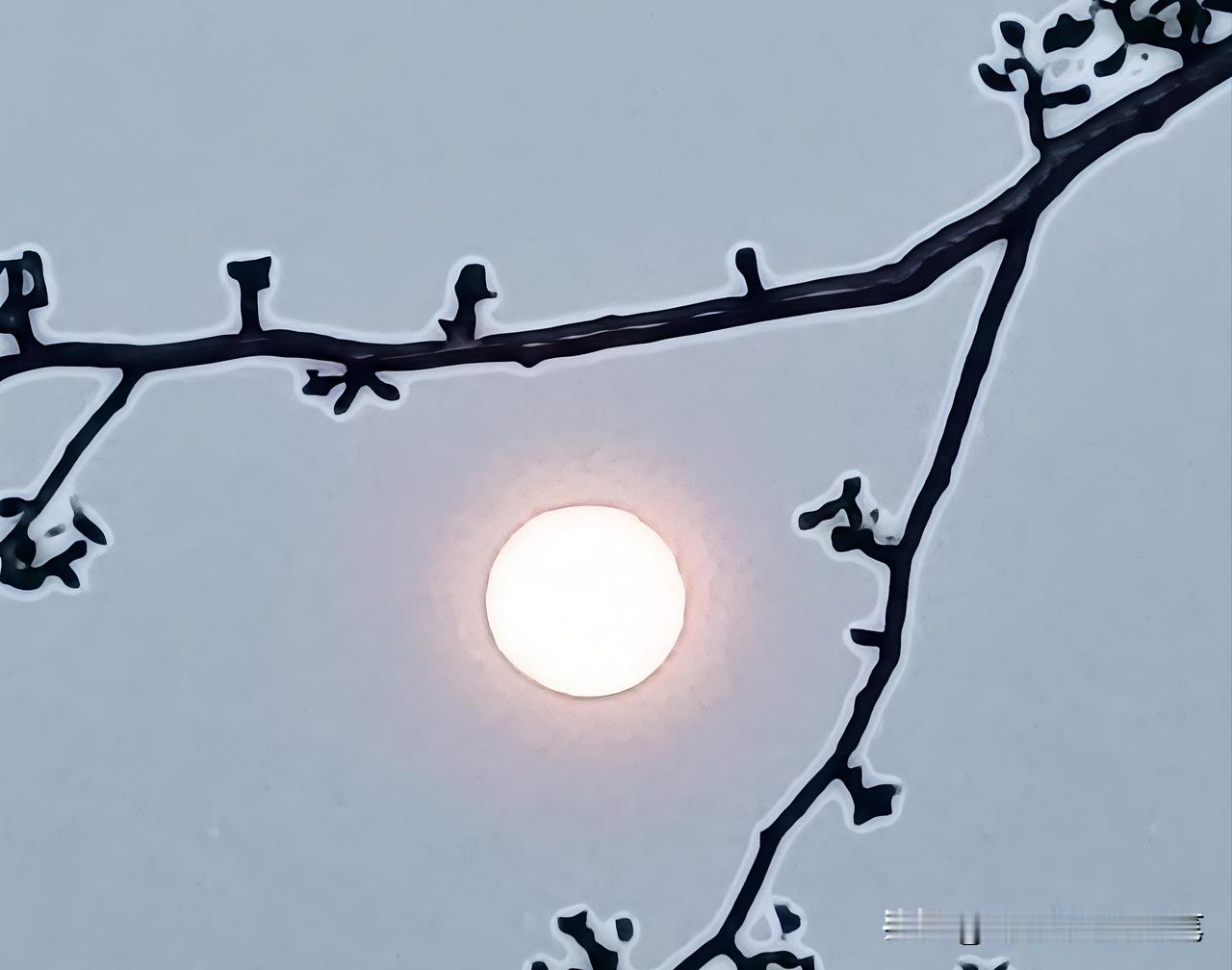 阴历二月十四的月亮，说是圆还差着那么一线，却已饱满得教人怜爱。

它不像十五的月