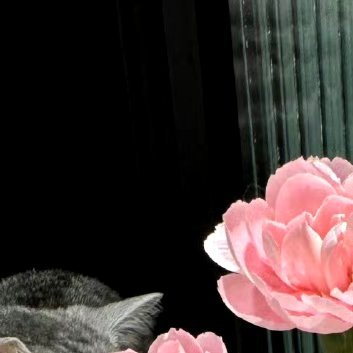 斗志和干劲很重要，但更重要的，是不断坚持的努力。无论你已经工作还是仍在校园拼搏，