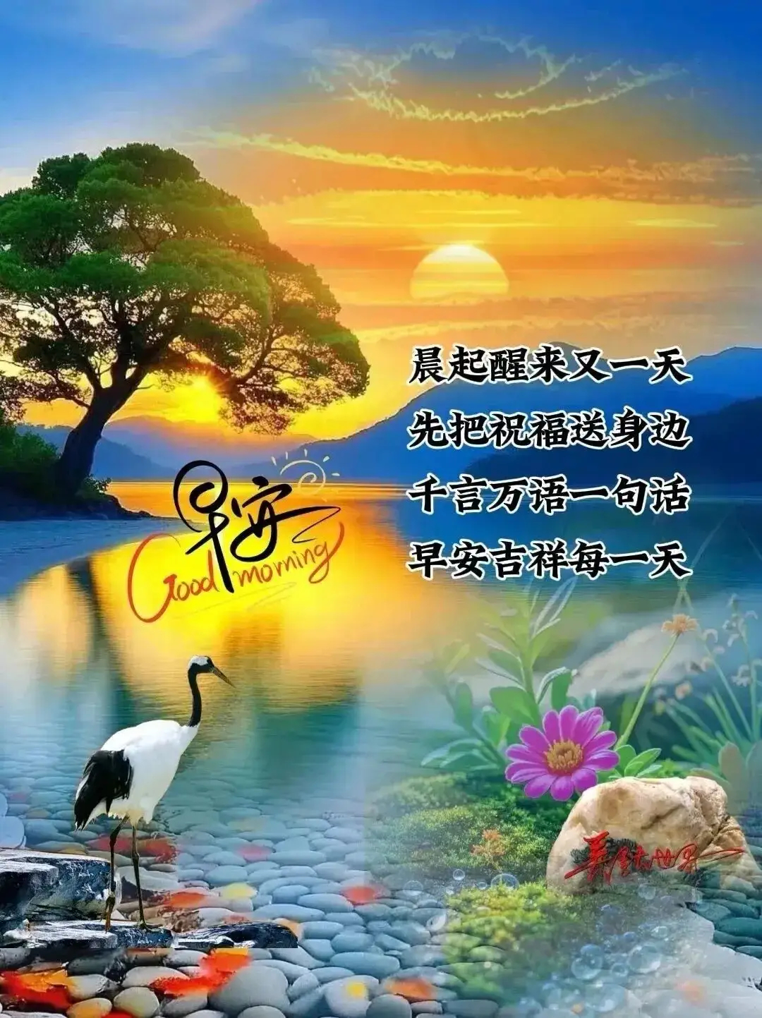 分享图片 