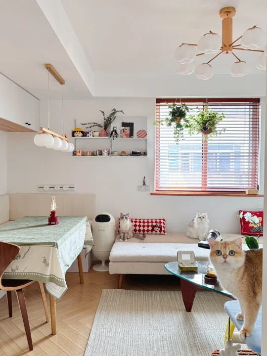 51平原木小家，两人三猫超好住！