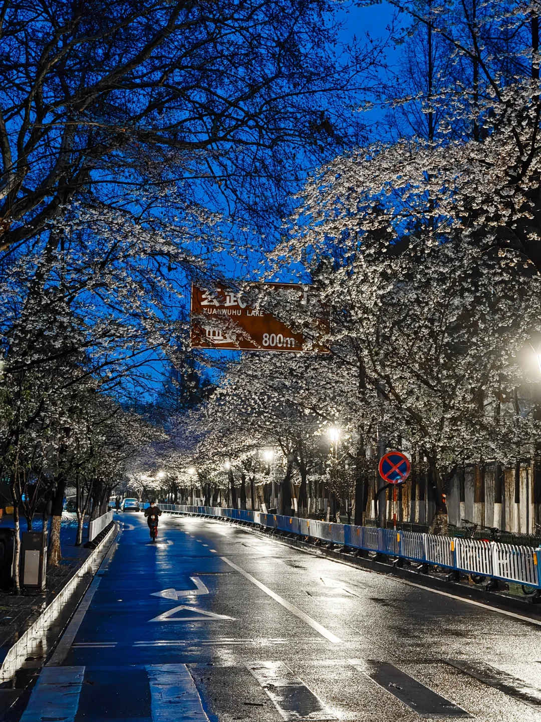 凌晨4点半，南京蓝调夜樱美到next level ❗️