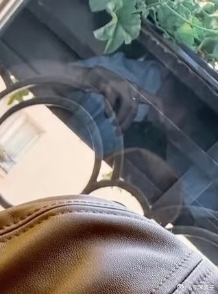 我勒个骨节分明的小猪蹄