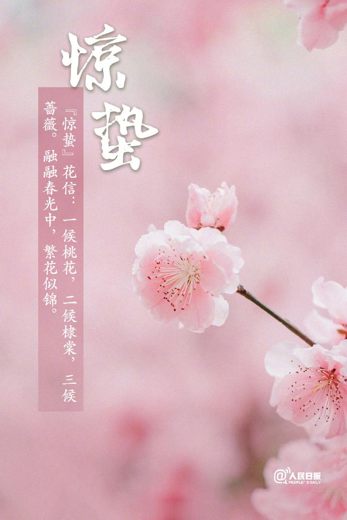 惊蛰到, 唤醒一个生机盎然的春天!