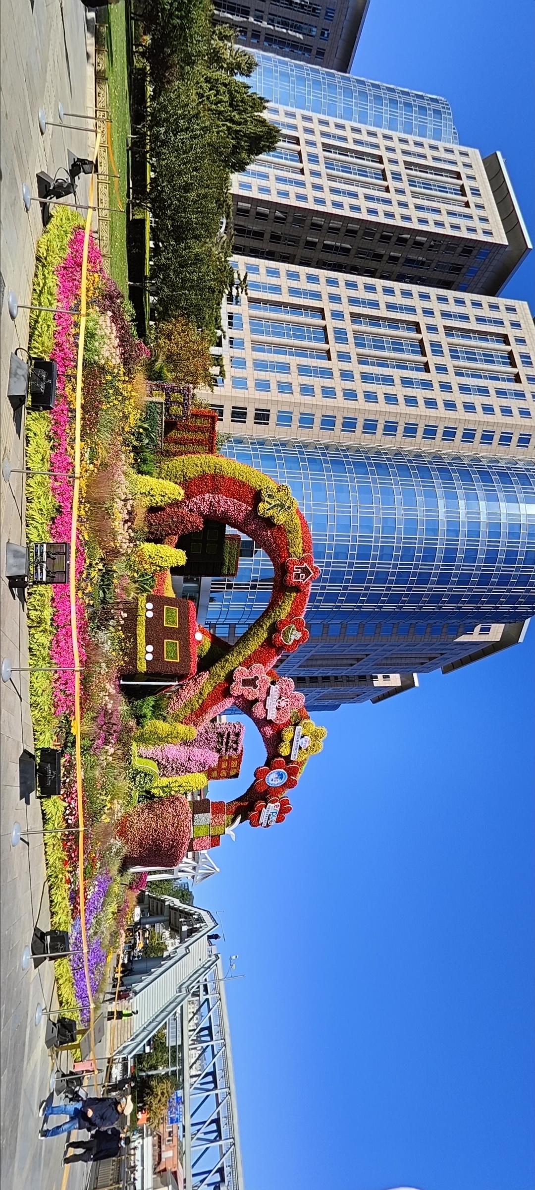 繁华都市中的绿意盎然，花海与高楼相映成趣，美不胜收！🌸🏙️