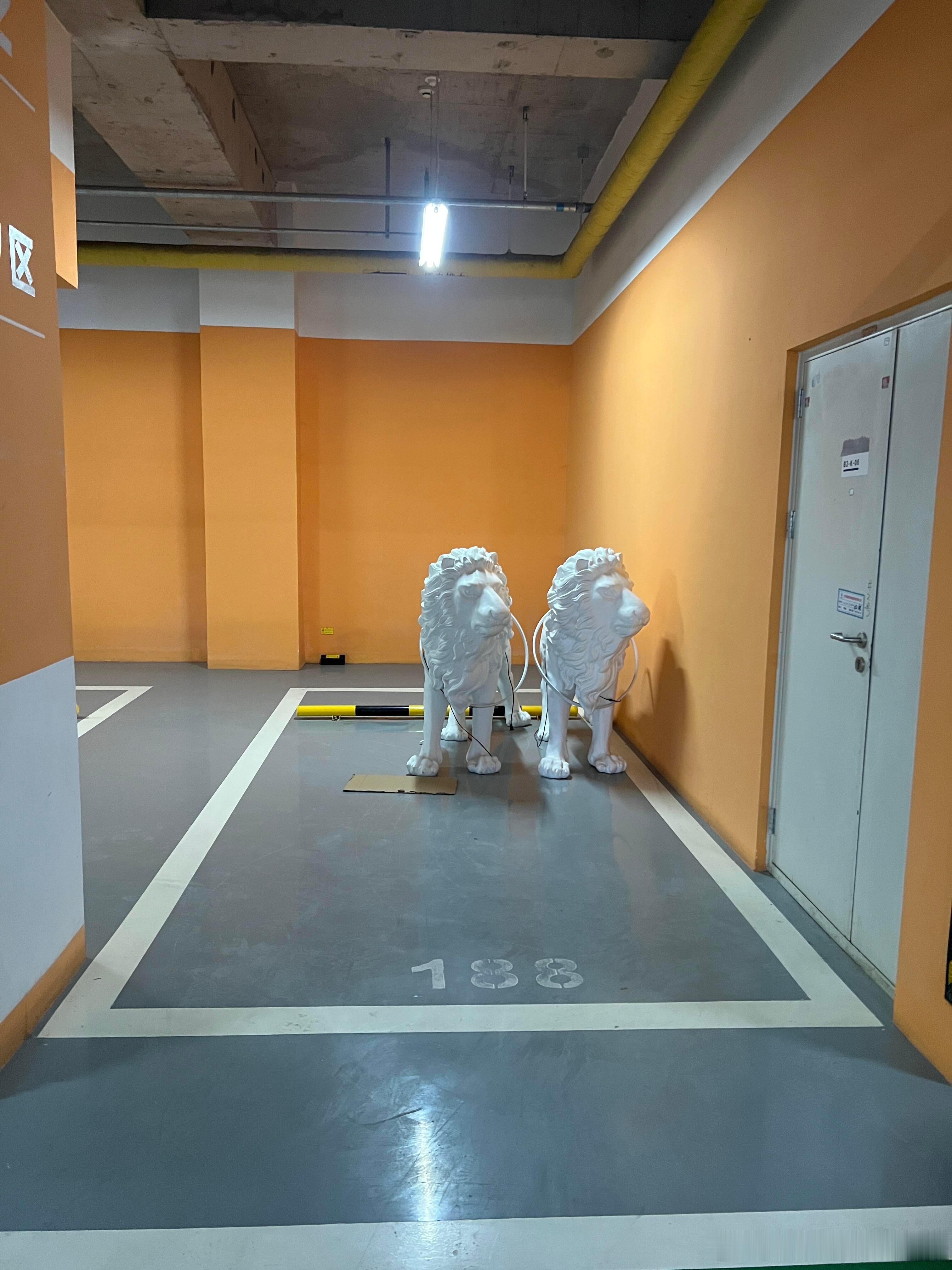 回家发现车位被动物占了怎么办好好的车位，让动物给占了 