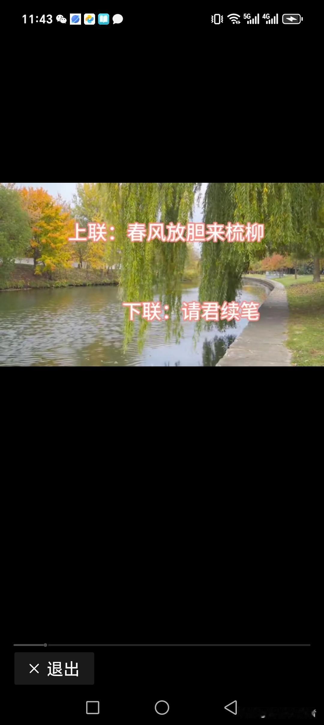 春风放胆来梳柳
冬雪肆意来掩梅