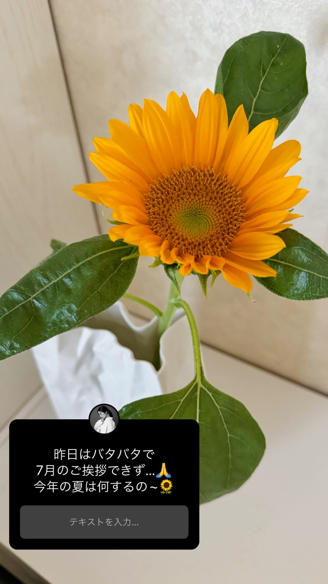齋藤冬優花　　fuustagram ​​​