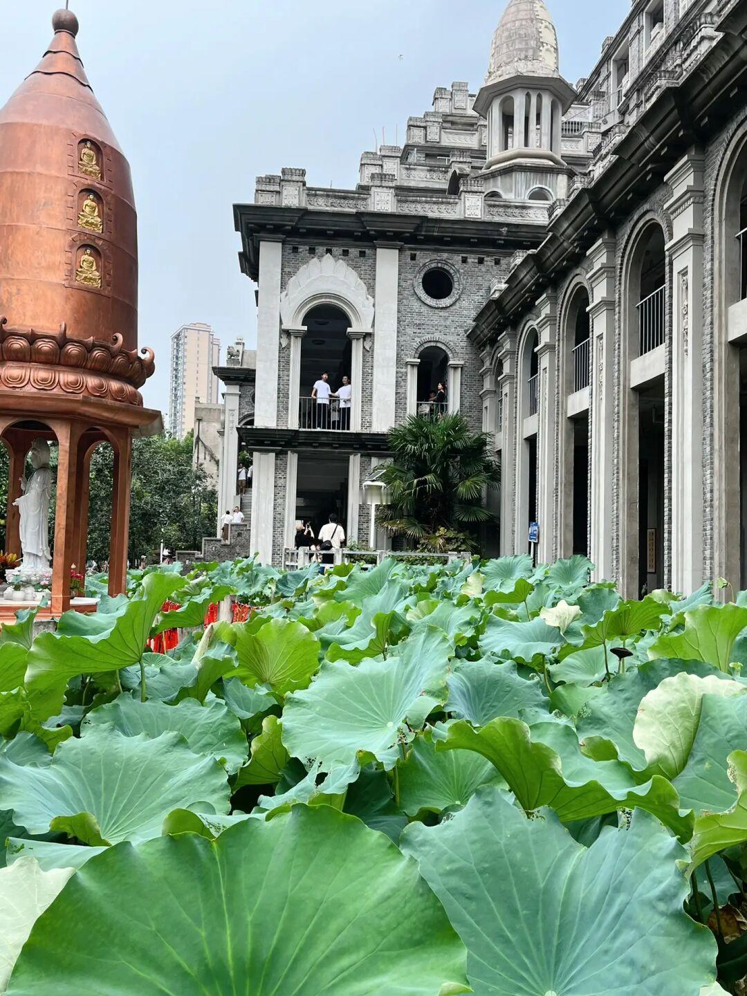 爱上武汉真的不需要理由