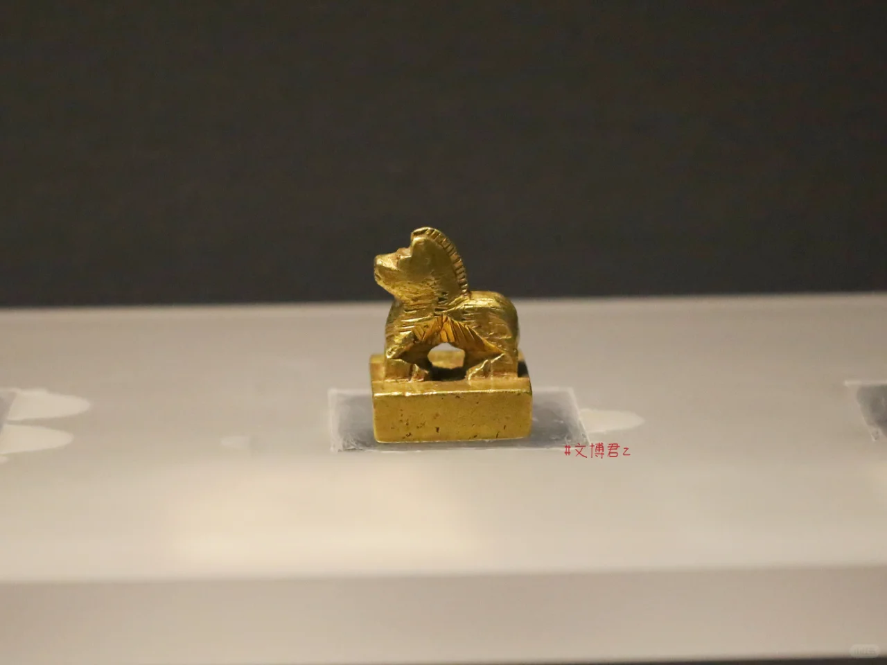 小马钮的金印，噢，是小骆驼，还挺萌