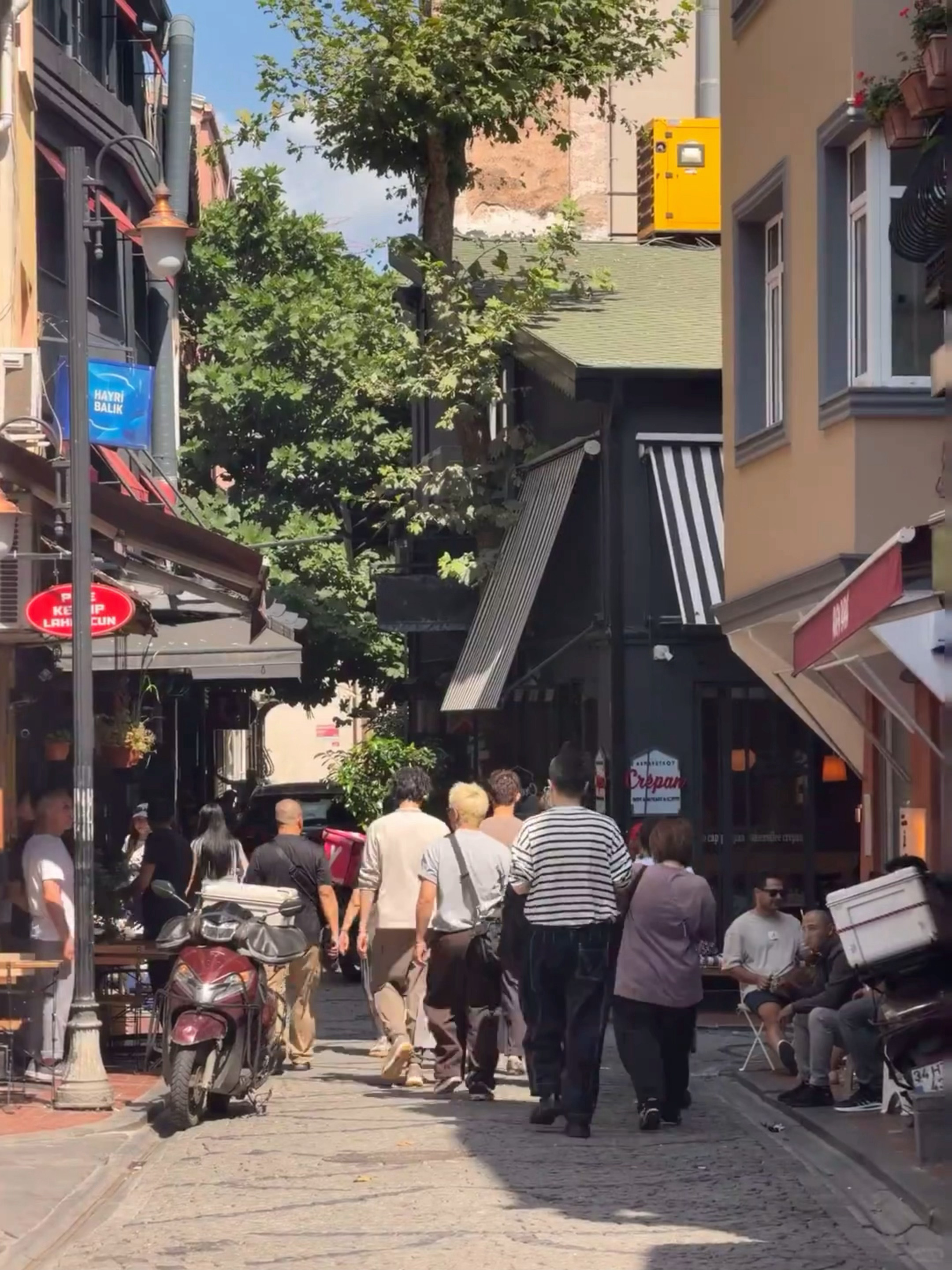 美貌小鱼补妆中 🇹🇷 