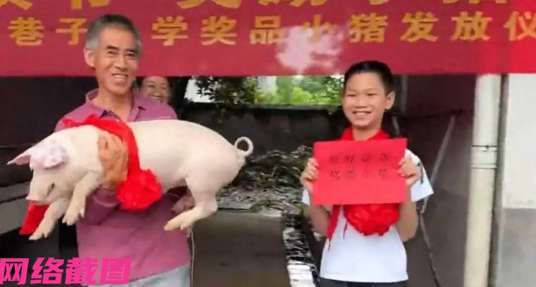 湖南邵阳某小学给学生们发小白猪，可是真得，活得，因这里全校只有二十二个孩子，每人