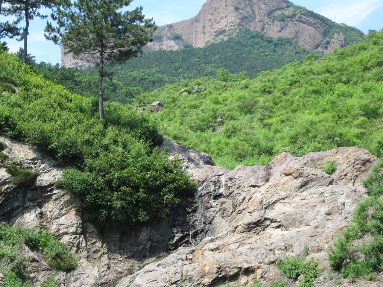 波斯猫又有战果了，波斯猫表示在境内击落了第二架小鹰f35战机！飞行员目前下落不明