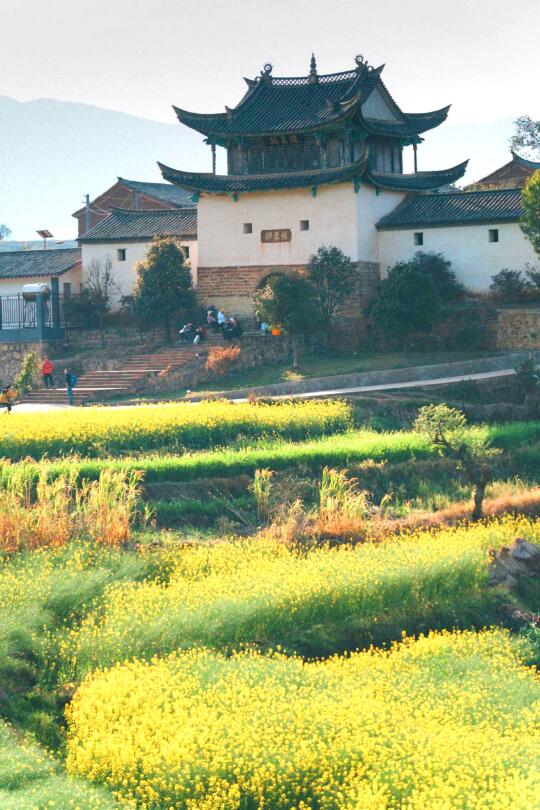 昆明周边人少花多赏花地‼️小众免费还出片👍