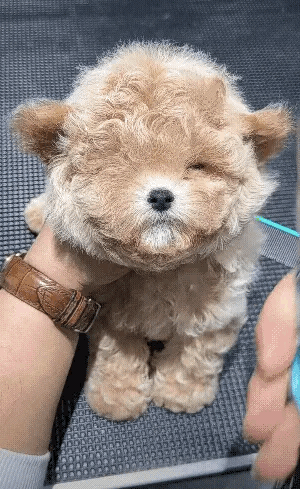 没剪之前200，剪完1500！[捂脸]