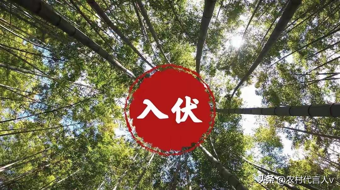 六月初二“危日”，记得“做2事忌3事”，老传统别丢，整年顺遂
 
今日农历六月初