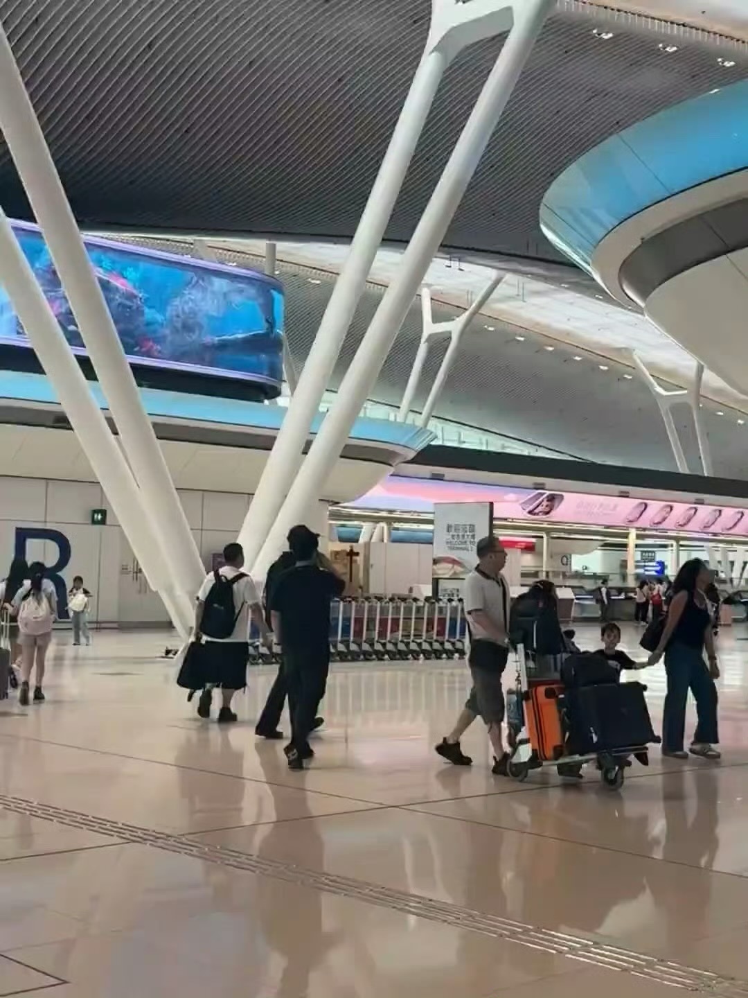 感觉全世界的人都在偶遇陈飞宇，到哪里都是现场直播…… 