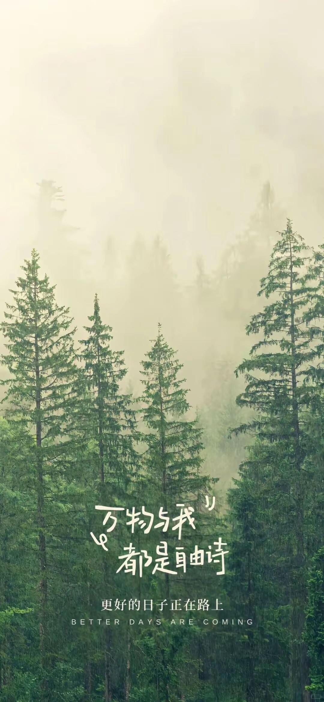 春日生活打卡季