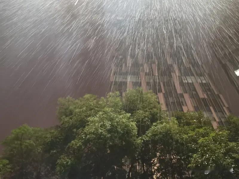 暴雨
一夜
惊醒了谁的梦
打湿了谁的心
暴雨
从天而降时
谁又能挡得住
敬畏自然