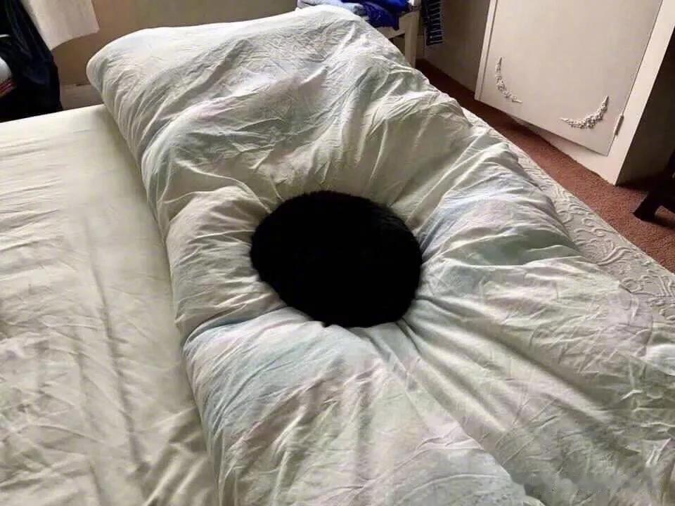推上一位主人表示，如果你家的黑猫足够黑，就能在床上形成一个黑洞！