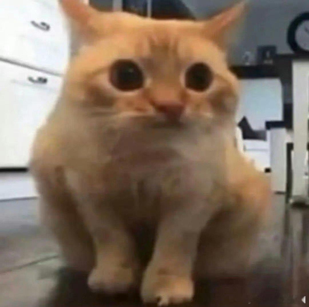 #小孩哥奥特曼版报菜名太丝滑了#世界这么大，原来我们都是喜欢奥特曼的同一批人，看