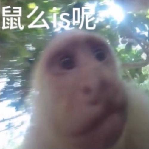 最近爱用的表情包[偷笑] ​​​