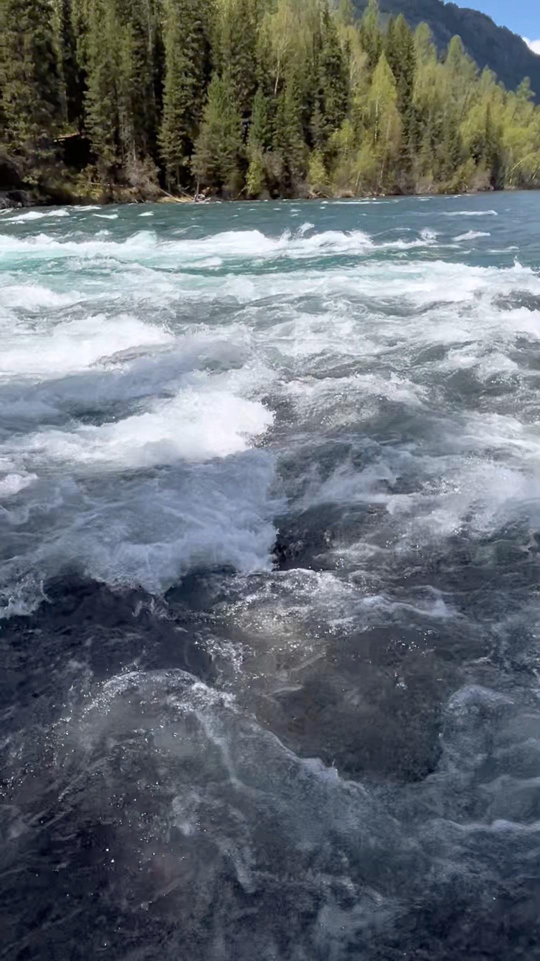 我奉劝内向的人就多去经历 年轻的时候要多游历人间  要亲自下场去经历人...