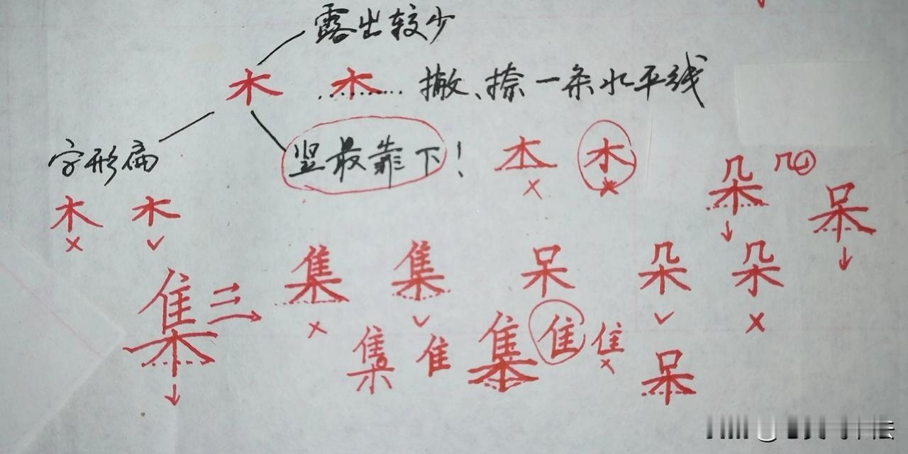 怎么练硬笔楷书？
不能不练偏旁部首写法，比如“木字底”，如图所示。
字例：集、朵