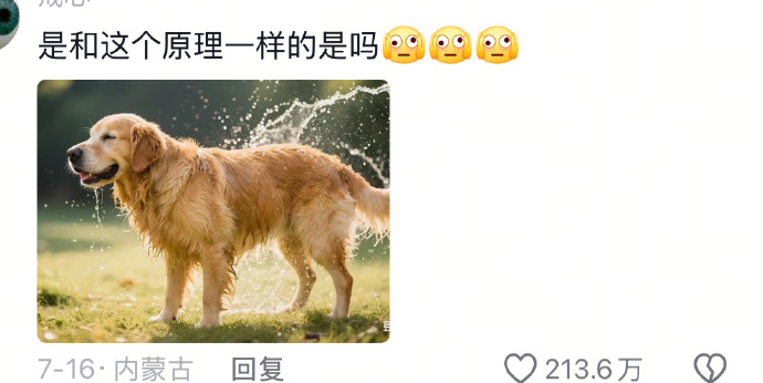 有没有体面点到头发速干技巧 ​ ​​​