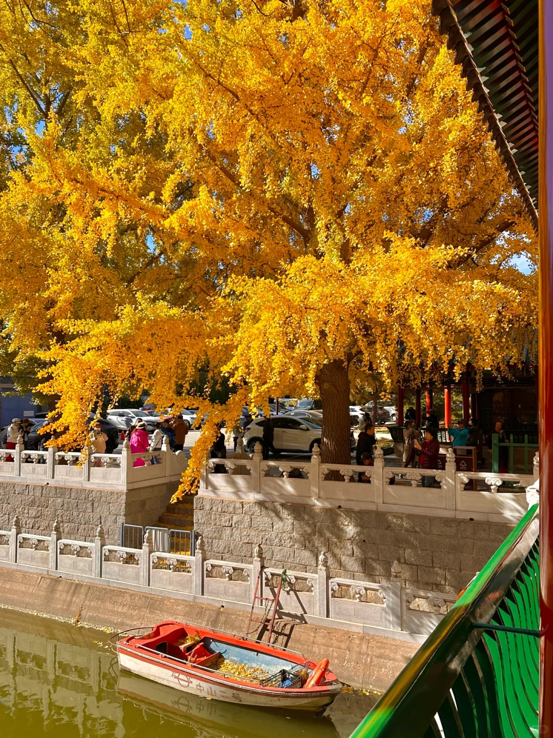 11.6最新live本周1⃣️0⃣️赏秋巅峰错过等一年