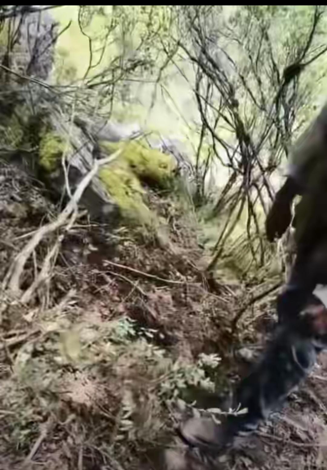 再多补偿，也救不回进山采菌遇难的大叔，这件事真的值得所有人警醒！

五十七岁的重
