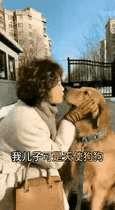 我搞不懂，
现在的人都这样的吗？
不生小孩，
养狗了？