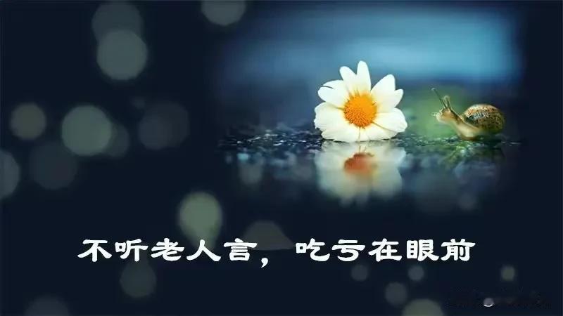 不听老人言，吃亏在眼前。老人总结和留下的一些话，年轻人一定要引起重视，别去盘根问