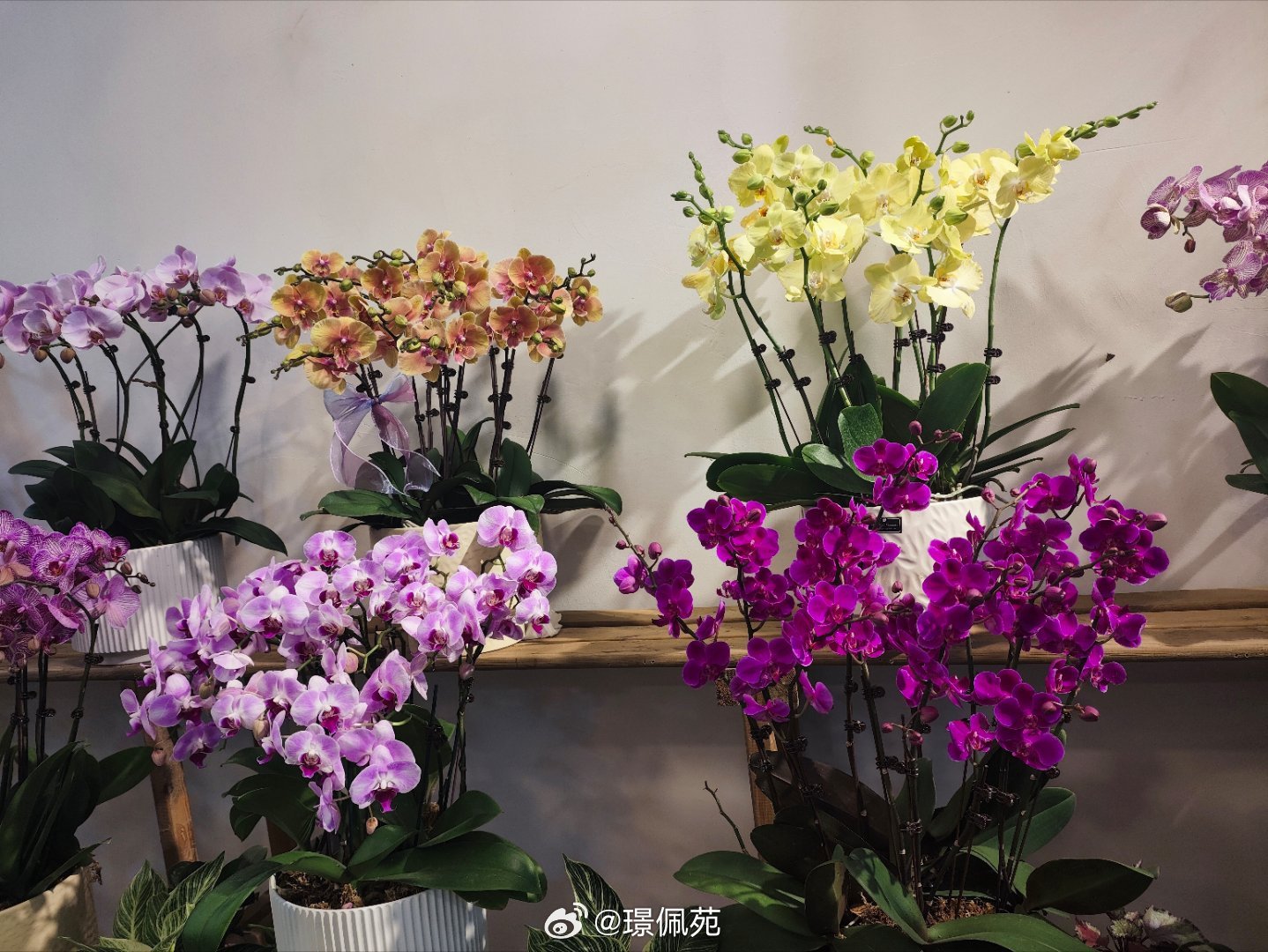 随手拍