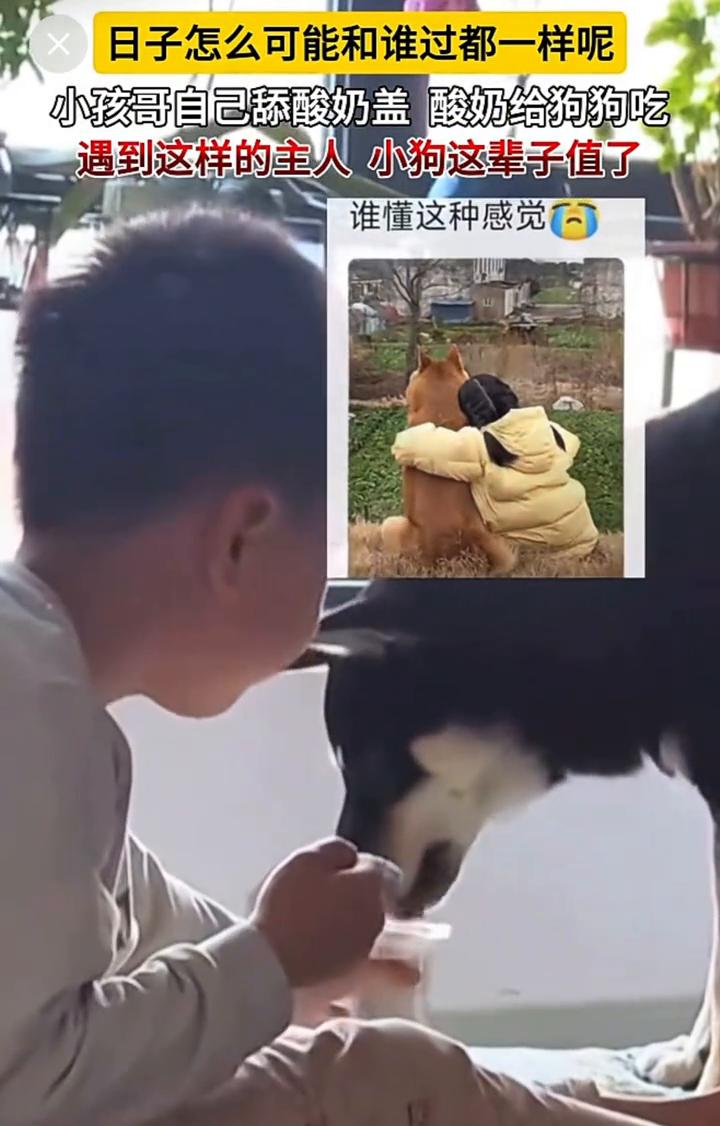 日子怎么可能和谁过都一样呢？小孩哥自己舔酸奶盖酸奶给狗狗吃，遇到这样的主人小狗这