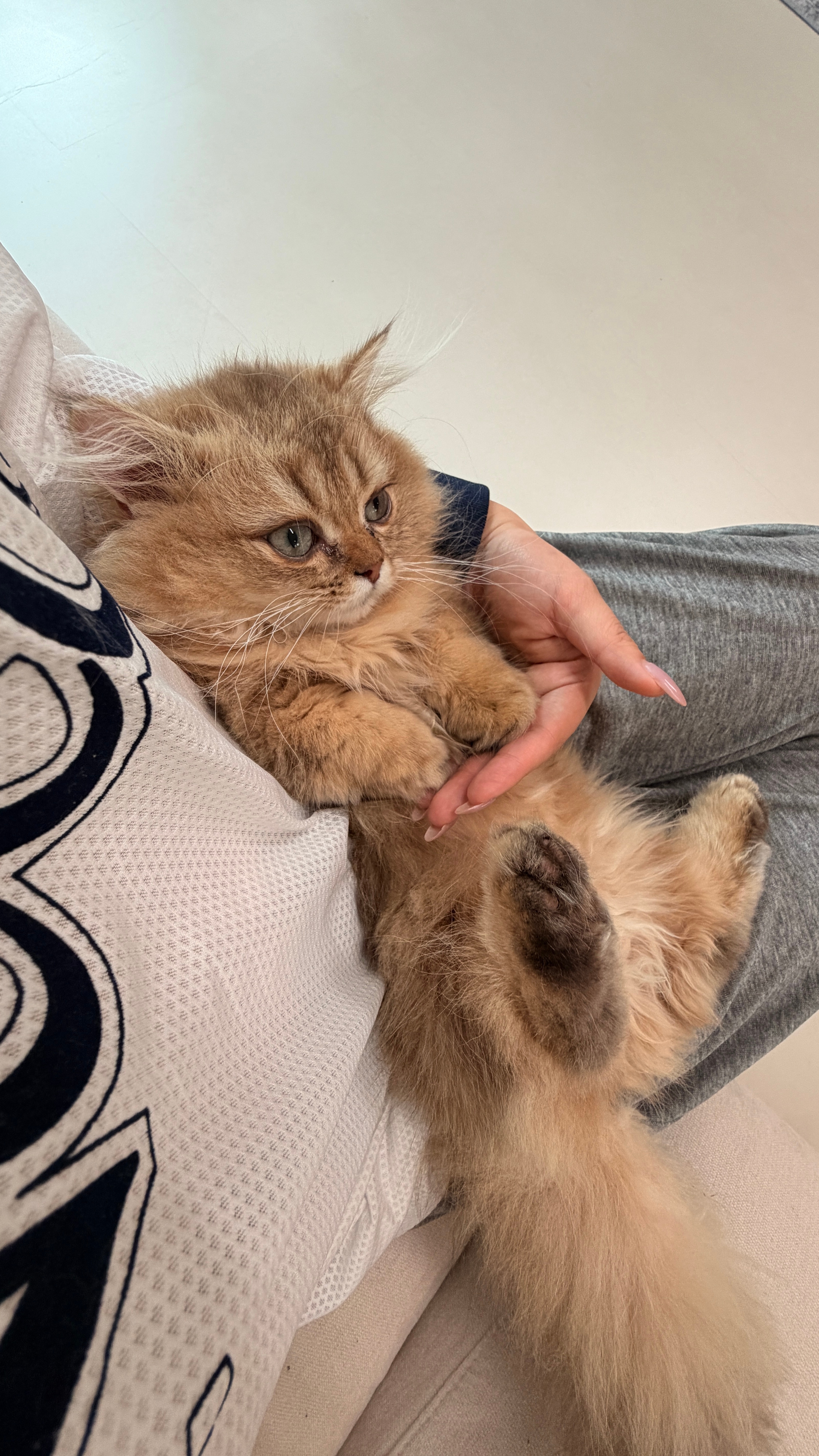 我们工作室，最躺平的是他 合肥