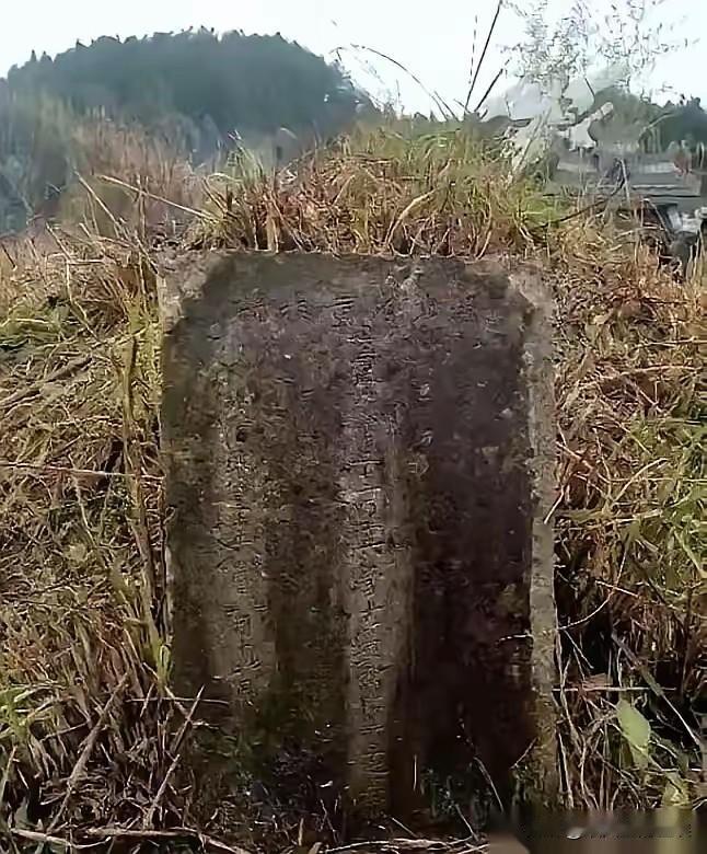 深圳女老板周敏，回贵州老家迁父亲的坟。旁边一座孤坟，荒草半人高，看着碍事。她抄起