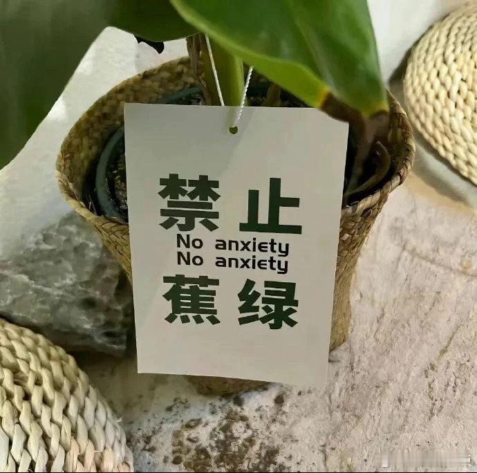 五一黄鹤楼万人嗑瓜子女生嗑瓜子比赛开挂带鹦鹉黄鹤楼这个五一搞的嗑瓜子大赛创意十足