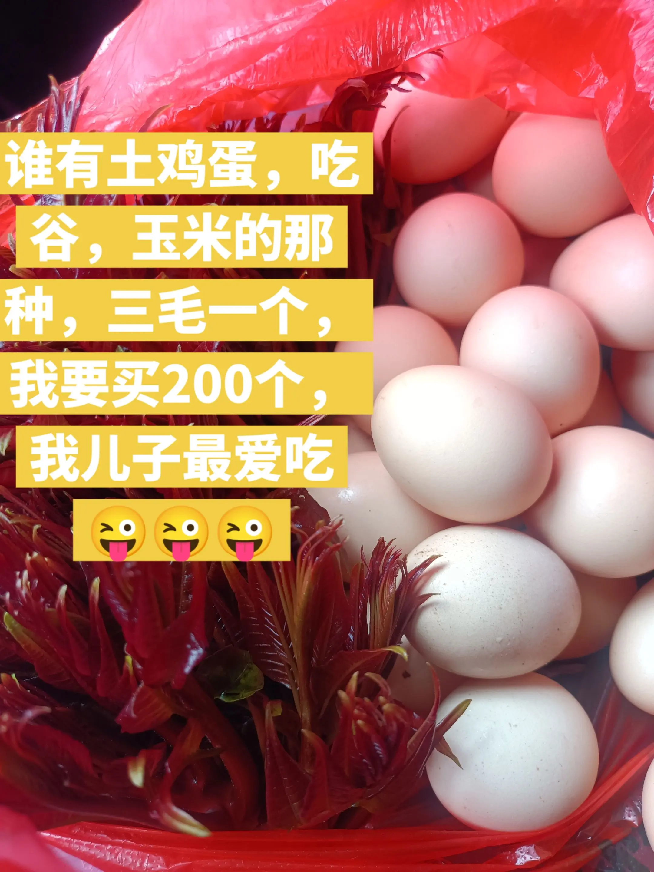 乡下土鸡蛋 香椿炒鸡蛋