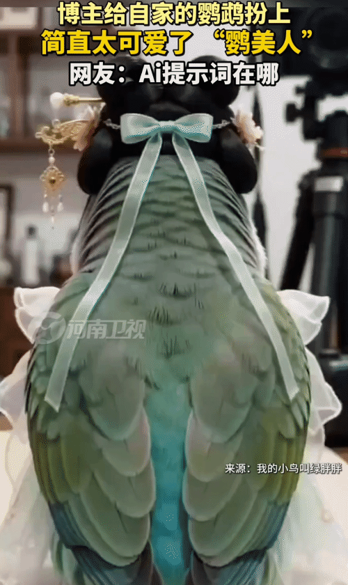 “笑不活了！”一位博主给自己养的鹦鹉打扮了一番。没想到，鹦鹉转过来，有一股“富态
